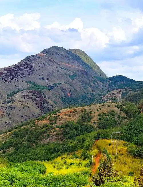 寻访嵩明仙药灵山：滇中秘境里的养生智慧