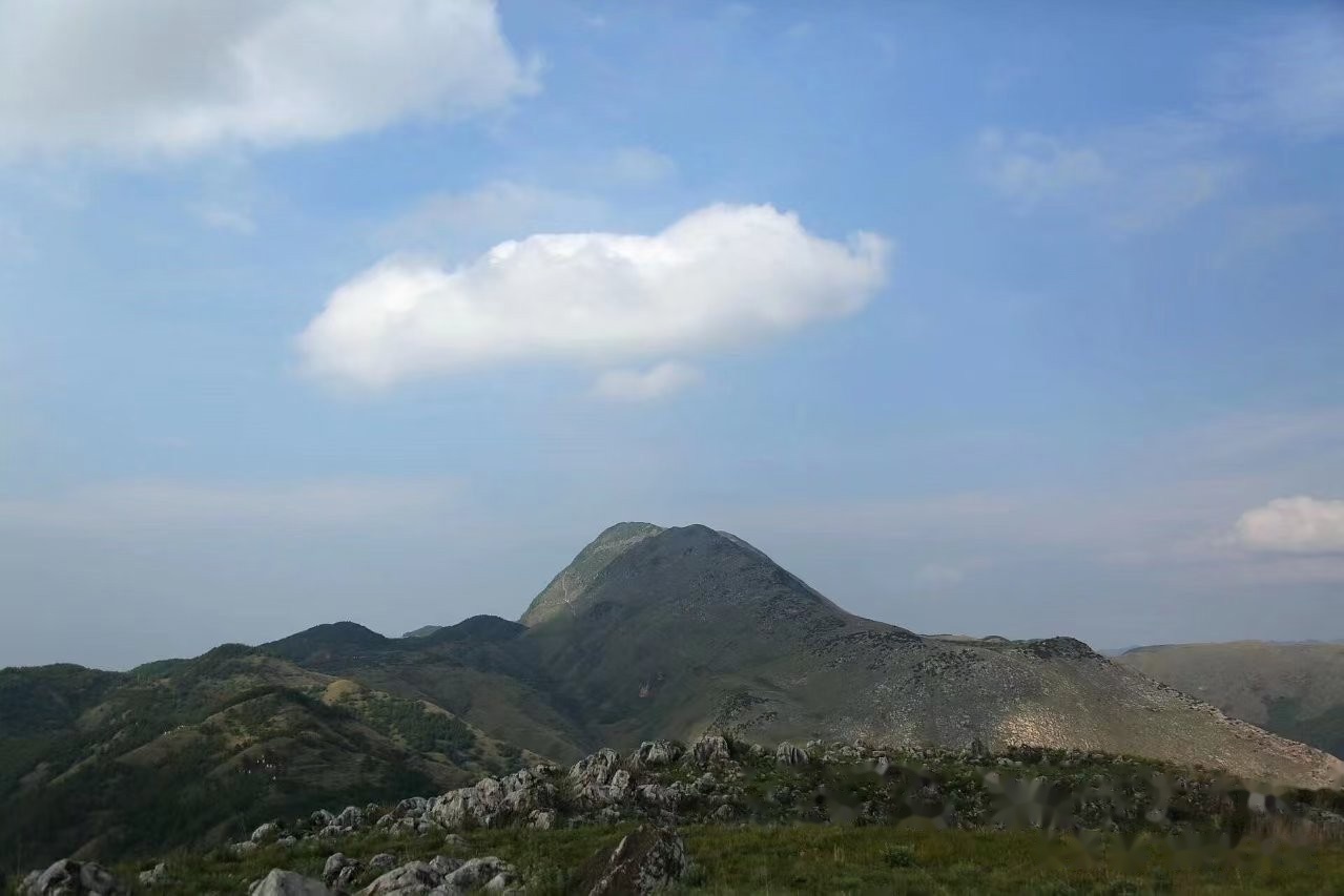 寻访嵩明仙药灵山：滇中秘境里的养生智慧